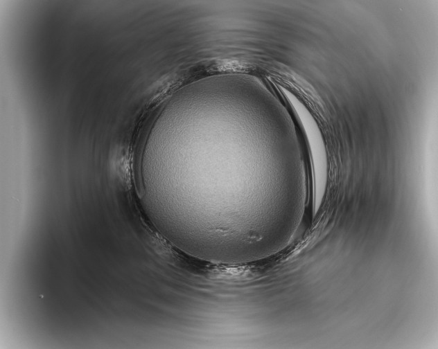 X0000093400329200710260922