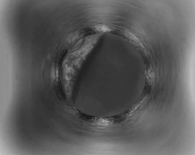 X0000093400330200710260922