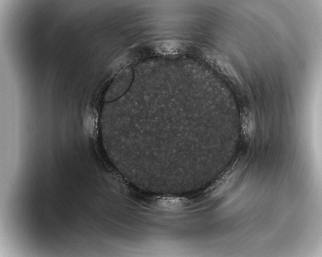 X0000093400332200710260922