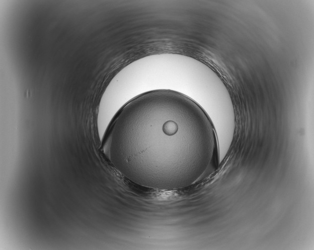 X0000093400333200710260922