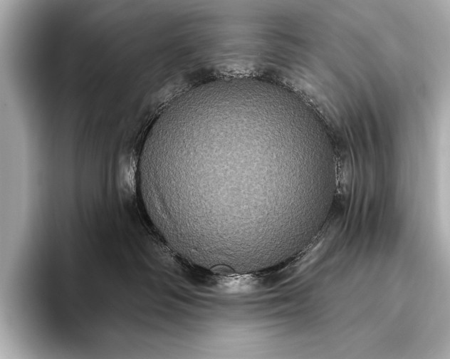 X0000093400334200710260922