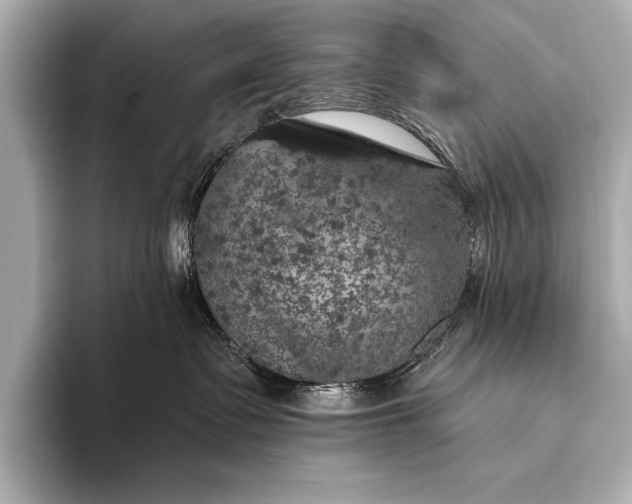 X0000093400335200710260922