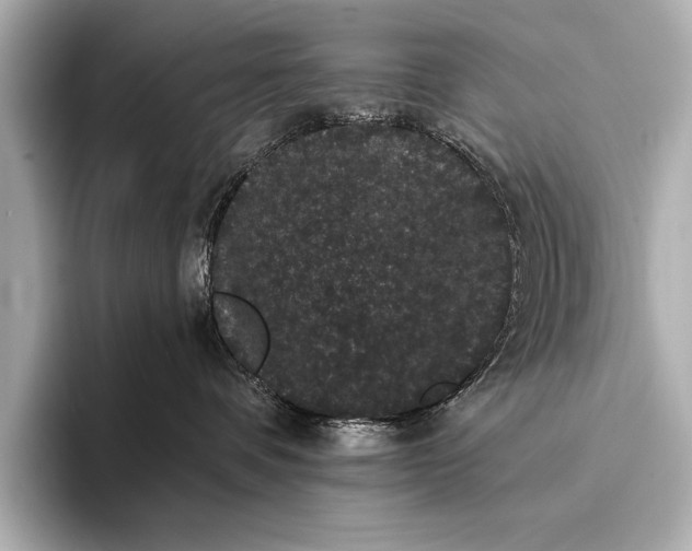 X0000093400336200710260922