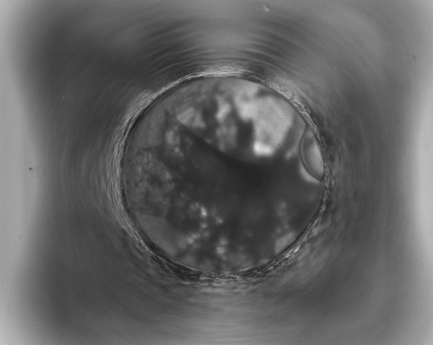 X0000093400337200710260922