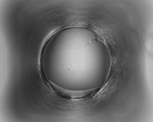 X0000093400340200710260922