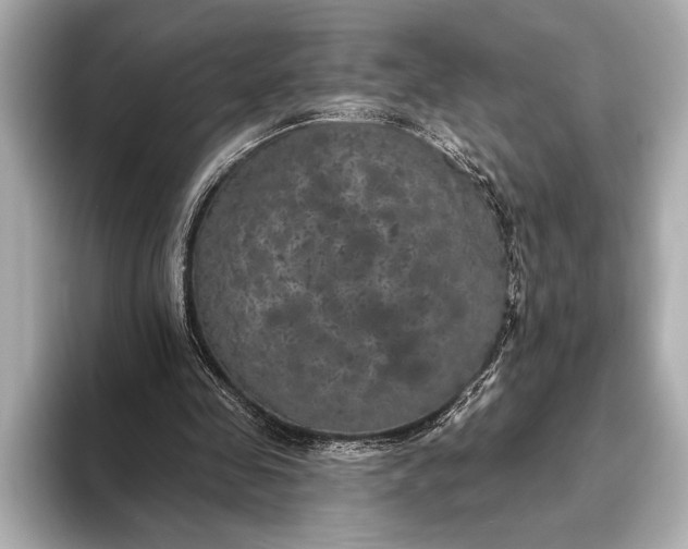 X0000093400341200710260922