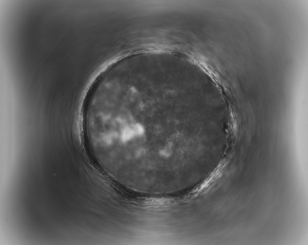 X0000093400342200710260922