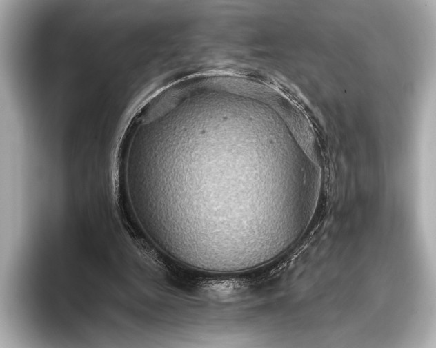 X0000093400344200710260922