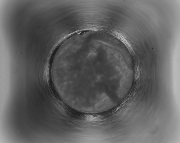 X0000093400346200710260922