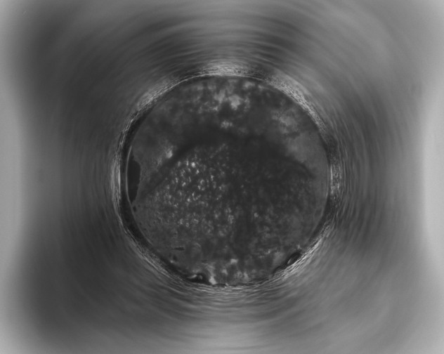 X0000093400349200710260922