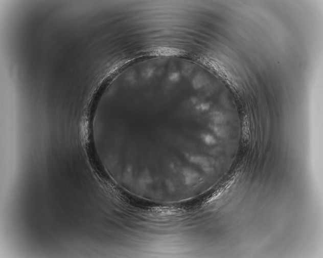 X0000093400351200710260922