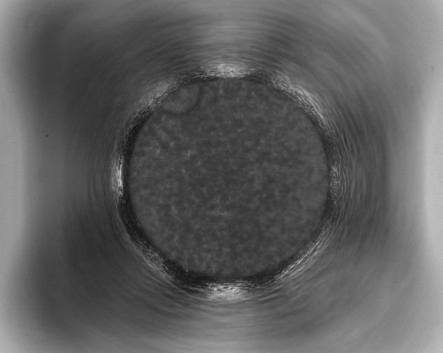 X0000093400358200710260922