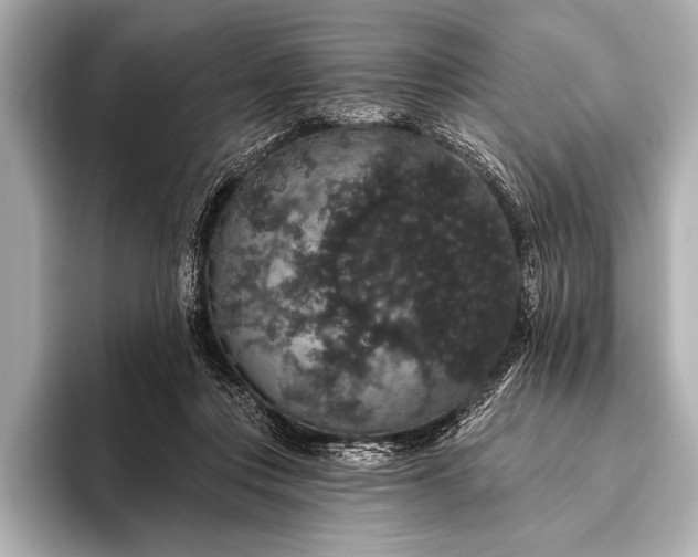 X0000093400359200710260922