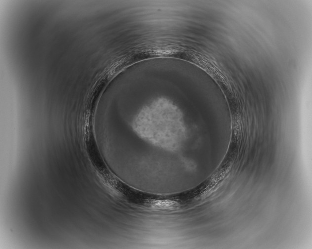 X0000093400360200710260922