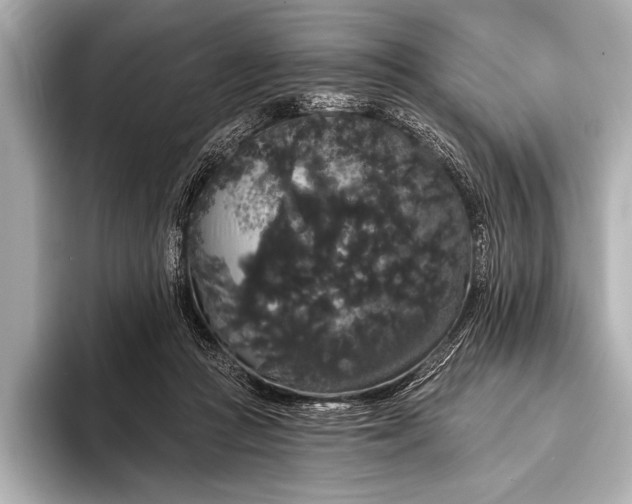 X0000093400361200710260922