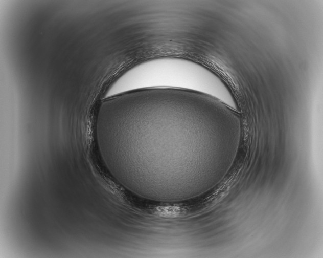 X0000093400362200710260922