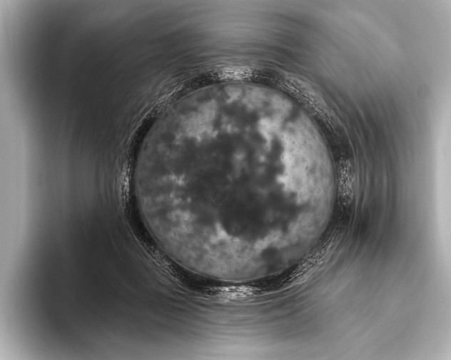 X0000093400363200710260922