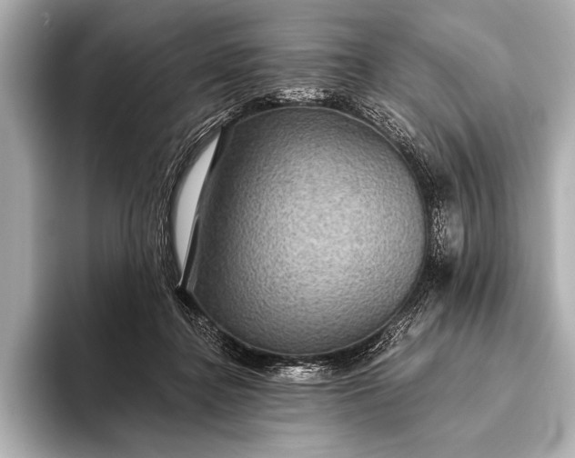 X0000093400364200710260922