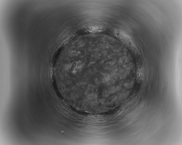 X0000093400367200710260922