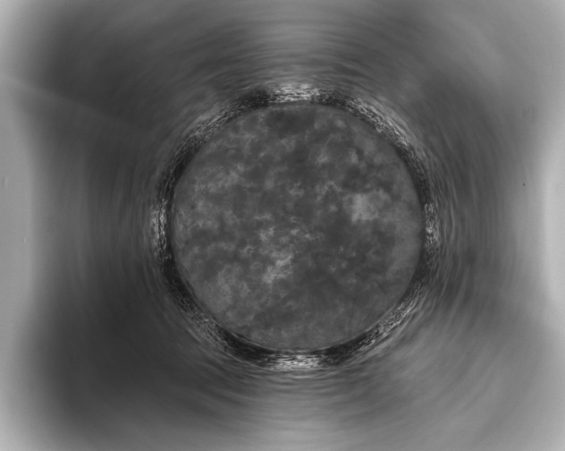 X0000093400369200710260922