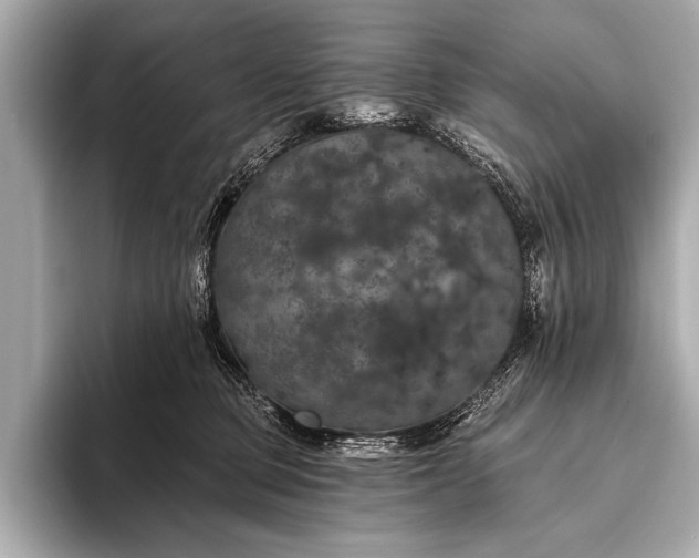 X0000093400373200710260922