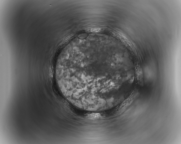 X0000093400374200710260922