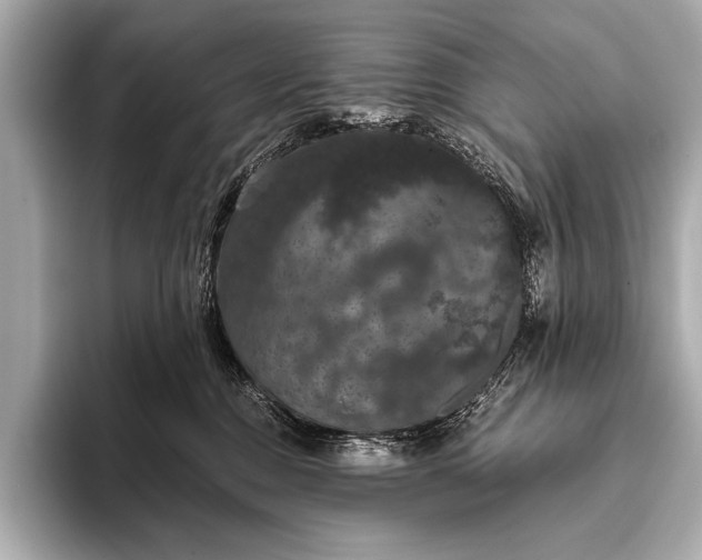 X0000093400376200710260922