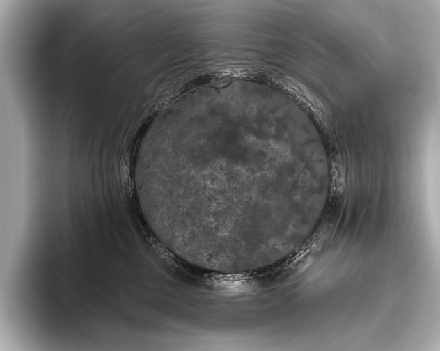 X0000093400377200710260922