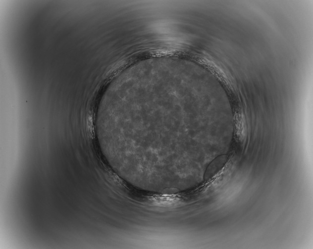 X0000093400378200710260922