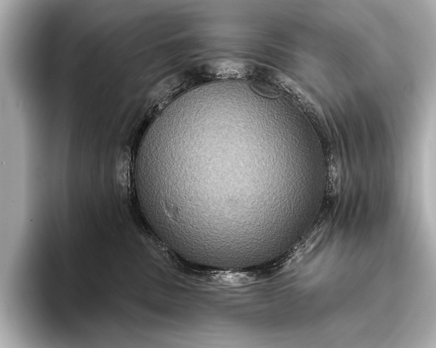 X0000093400379200710260922