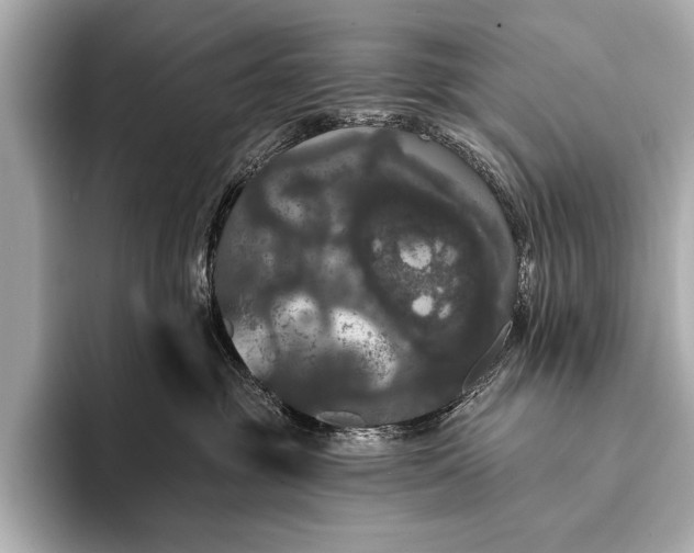 X0000093400381200710260922