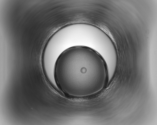 X0000093400389200710260921