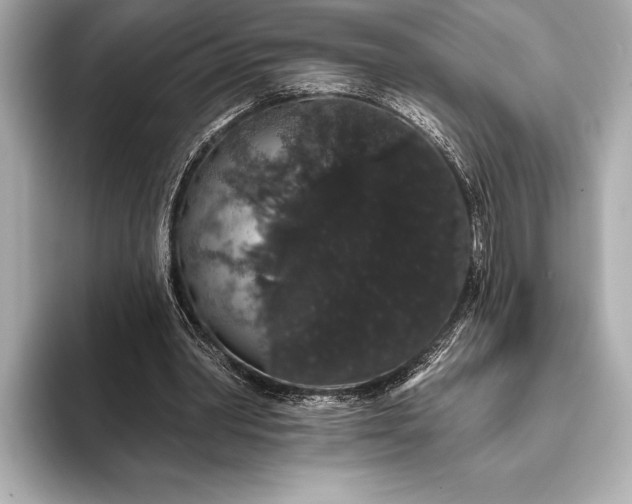 X0000093400390200710260921