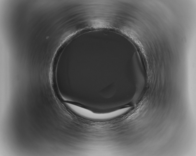 X0000093400391200710260921