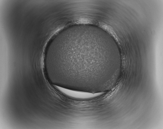 X0000093400395200710260921