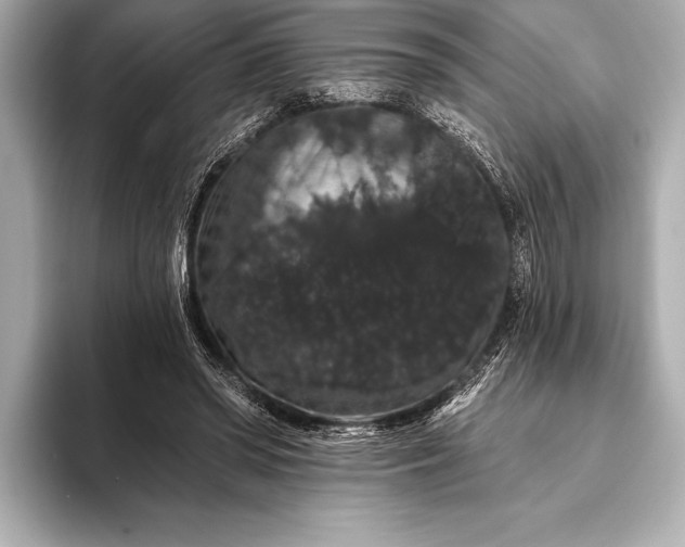 X0000093400398200710260921