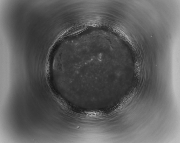 X0000093400400200710260921