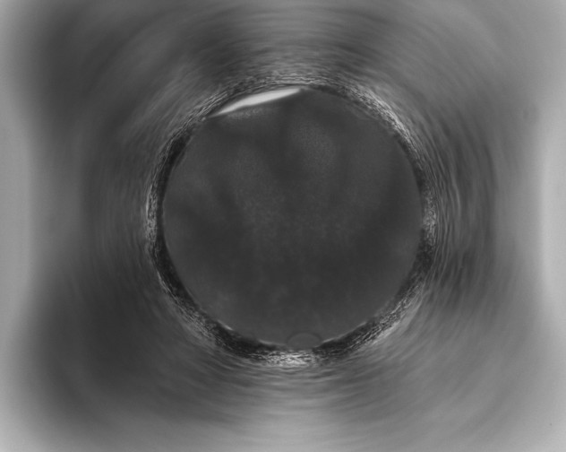 X0000093400402200710260921