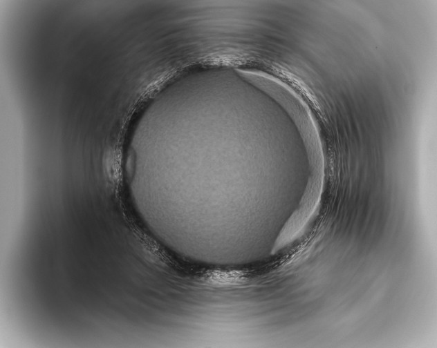 X0000093400403200710260921