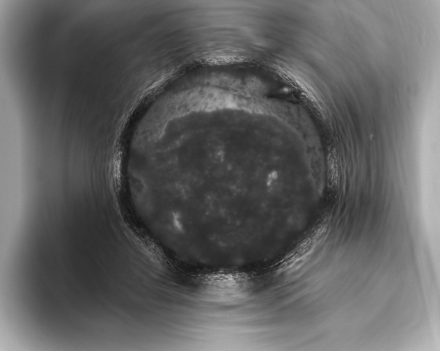 X0000093400404200710260921