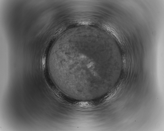 X0000093400406200710260921