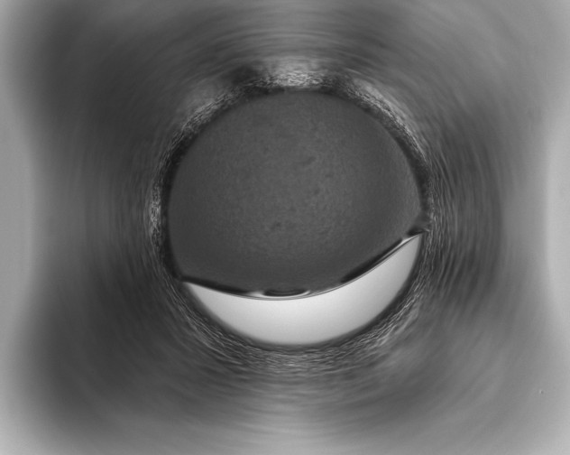 X0000093400407200710260921