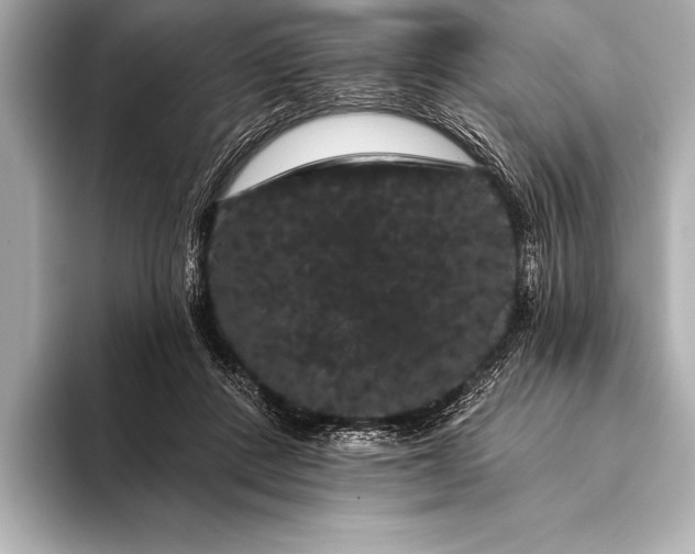 X0000093400408200710260921