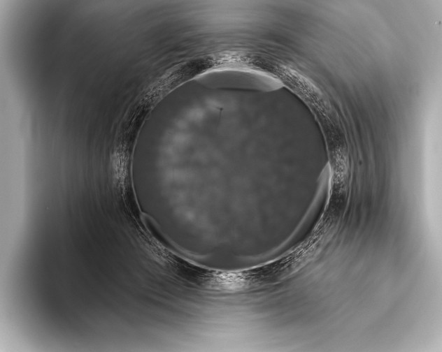 X0000093400409200710260921