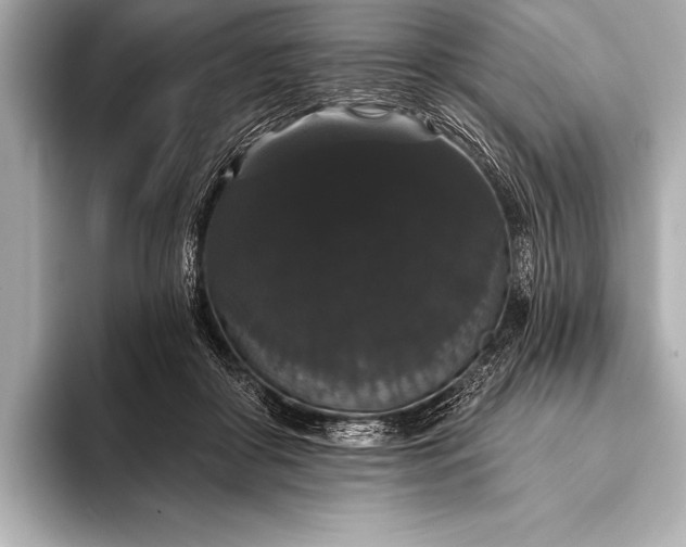 X0000093400410200710260921