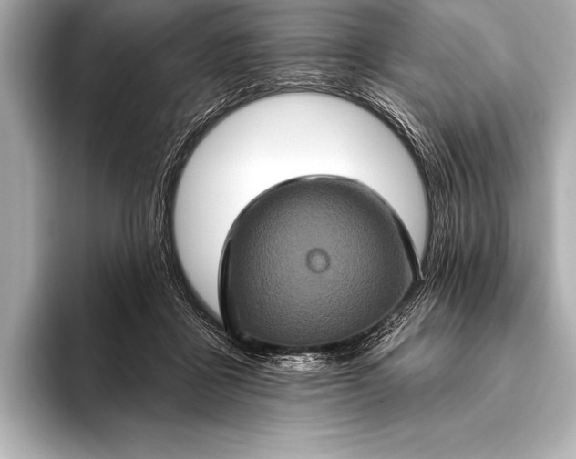 X0000093400411200710260921