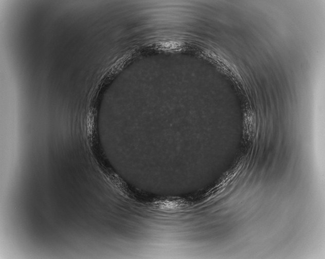 X0000093400412200710260921