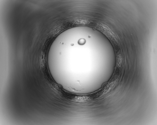 X0000093400414200710260921