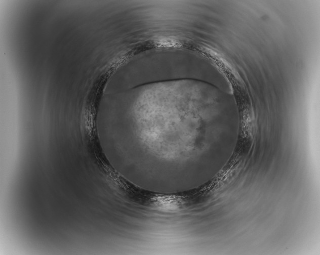 X0000093400417200710260921