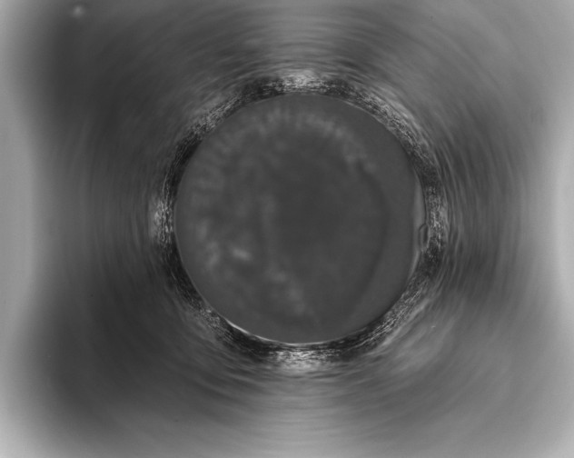 X0000093400419200710260921